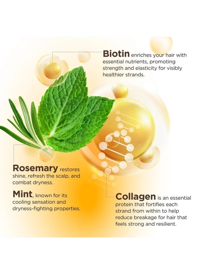 إيفري ستراند بلسم وشامبو مقوي بخلاصة البيوتين والكولاجين وإكليل الجبل والنعناع، ​​399 مل - Image 4